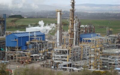 Investigadores tratan de reutilizar los residuos plásticos para fabricar valiosos productos petroquímicos