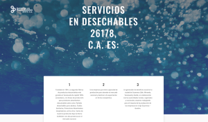 Servicios en Desechables 26178 C.A.,