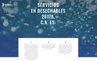 El sector absorbente: Bienestar y referencia de calidad de lo hecho en Venezuela
